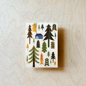 May include: A colourful illustration of a woodland scene with a small blue house in the centre. The trees are stylised and have different colours and shapes, including green, brown, orange, and yellow.