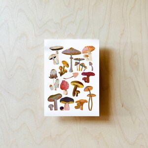 Postal de setas DIN A6 imagen 3