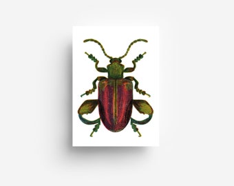 Legged bug postcard DIN A6