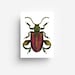 see more listings in the Cartes postales section