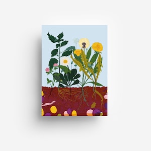 Herbs Postcard DIN A6