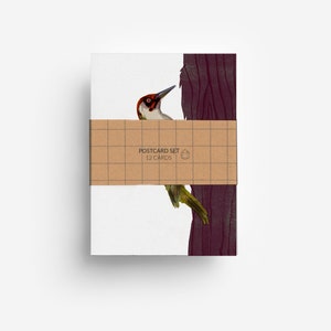 Jeu de cartes postales oiseaux (12 cartes) DIN A6