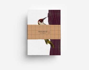 Juego de postales de pájaros (12 tarjetas) DIN A6