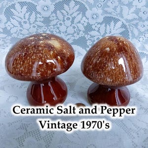 May include: A pair of vintage ceramic mushroom salt and pepper shakers. The shakers are brown with white speckles and have a glossy finish.  Ceramic Salt and Pepper Vintage 1970's