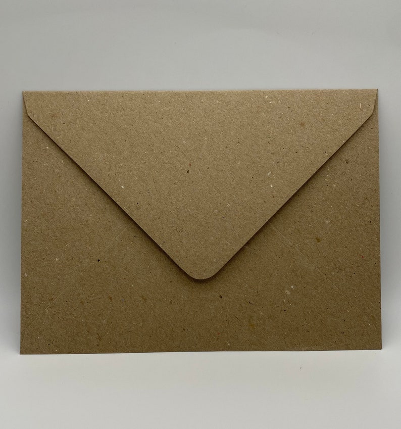 May include: A brown paper envelope with a flap.