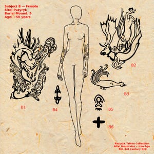 May include: Illustration of a female figure with tattoo designs from the Pazyryk Tattoo Collection. The image includes detailed drawings of animals and symbols, with text indicating the site, burial mound, and age.