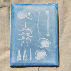 9x12 Cyanotype Print - Extinct species Homo neanderthalensis