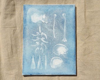 Impresión errónea de cianotipo de 9x12: especie extinta Homo neanderthalensis