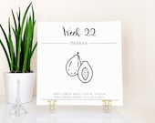Baby Size Calendar, Week 4-40 Weekly Pregnancy Signs Pregnancy Diary Pregnancy Milestones Pregnancy Countdown Instant Download