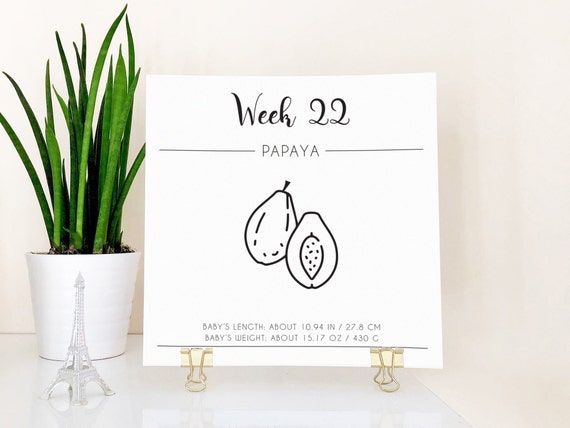 Baby Size Calendar, Week 4-40 Weekly Pregnancy Signs Pregnancy Diary  Pregnancy Milestones Pregnancy Countdown Instant Download - Etsy