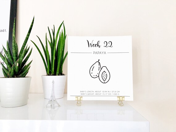 Baby Size Calendar, Week 4-40 Weekly Pregnancy Signs Pregnancy Diary  Pregnancy Milestones Pregnancy Countdown Instant Download - Etsy