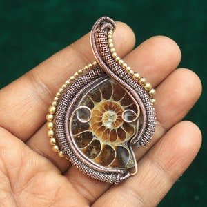 May include: A gold and copper wire wrapped pendant featuring a fossilised ammonite with a spiral pattern. The pendant is held in a hand against a green background.