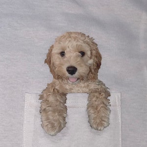 Custom Dog In The Pocket Funny T-shirt Pets Photo Pocket Shirt Gift Ideas Pocket Tee for Pet Lovers