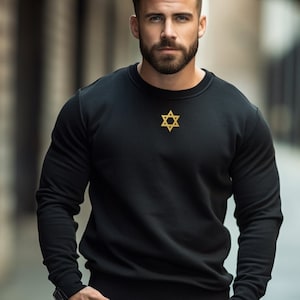 Israel Sweatshirt, Israeli Coat Of Arm Sweater, Golden Star of David, Patriotic Heritage Israel Shirts