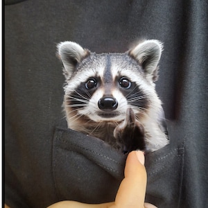 Pocket Raccoon Shirt, Funny Raccoon In Pocket Gift Tshirt Pocket Raccoon Shirt, Funny Raccoon In Pocket Gift Tshirt