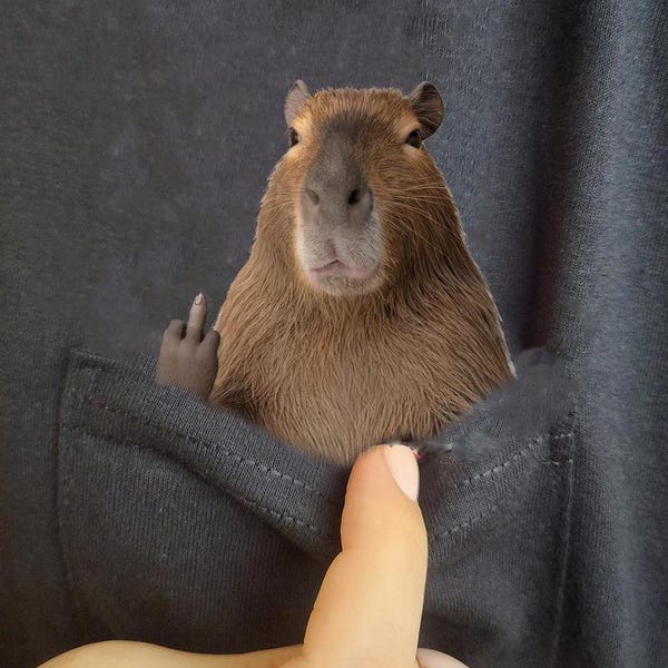Funny Capybara Shirt - Humor Capybara Hidden Middle Finger Pocket - Capybara T-shirt Unique Gift Idea - Funny Capybara T-shirt