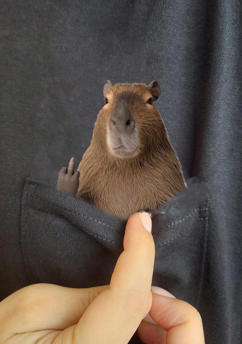 Capybara, Capybara T-SHIRT, Capybara funny gift