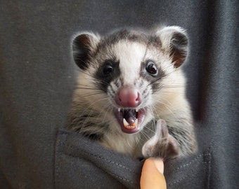 Opossum Shirt Hidden Middle Finger Pocket Funny Possum Print T-shirt Unique Gift Idea Funny T-shirt