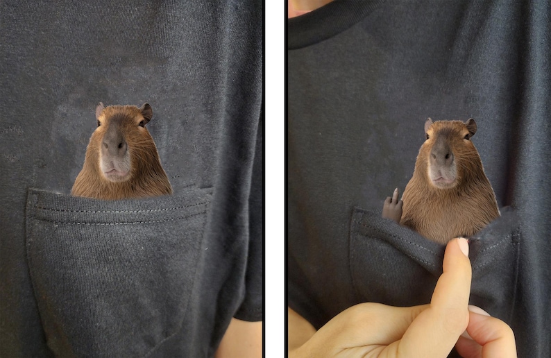 May include: A dark gray t-shirt with a pocket featuring a capybara sticking its middle finger out.