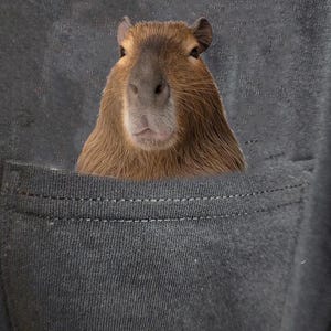 Capybara