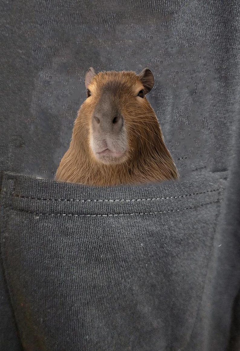 Capybara