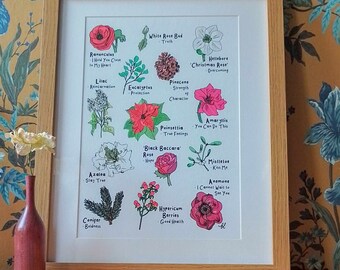 A4 Language of Flowers Collection Giclee Print - Unframed