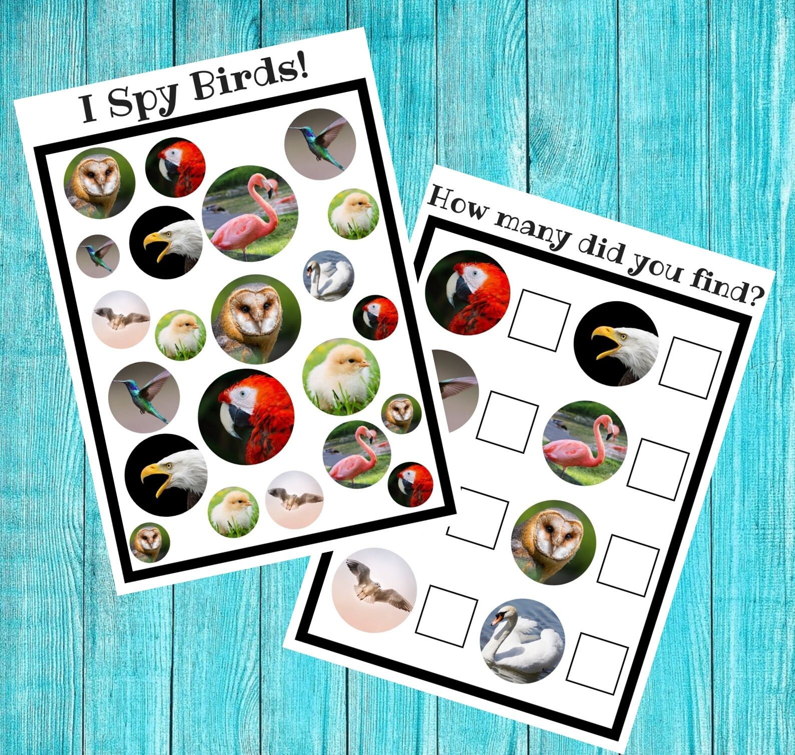 I Spy! Printable Activity Sheets for Kids, Printable Activities for ...