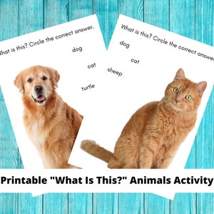 Wat is dit? Afdrukbare activiteit met dieren