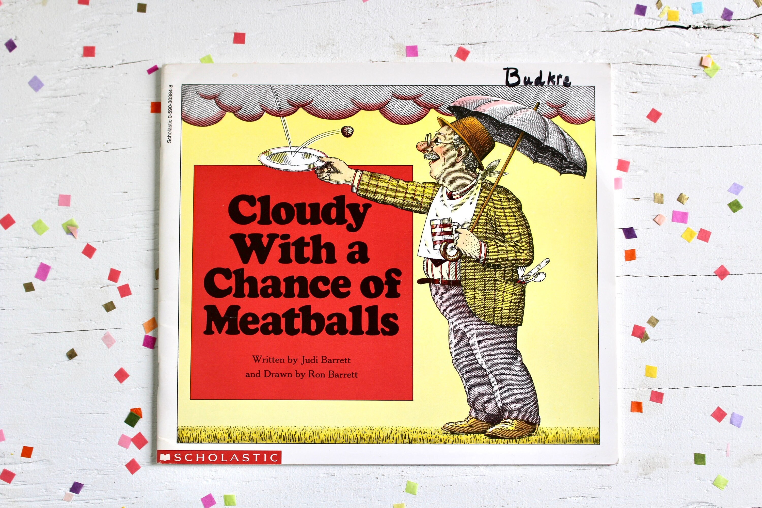 cloudy and a chance of meatballs book cloudy and a chance of meatballs book