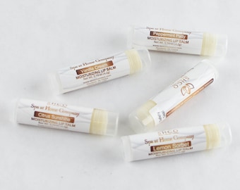 Lip Balm Pack of 6 | All Natural Moisturizing Lip Balms | Assortment Set of 6 | Lip Balm Tubes | Long Lasting Beeswax | Moisturize