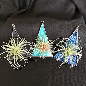 Stained Glass Air Plant Vase, Wall Decor, Window Decor, Glass Art, Air Plant Display, Air Plant Holder