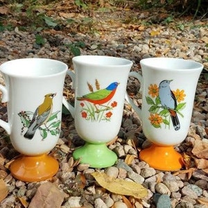 Vintage Colorful Birds Pedestal Coffee Mugs, Irish Coffee Cups Footed Mugs Boho by Fred Roberts -set of 3