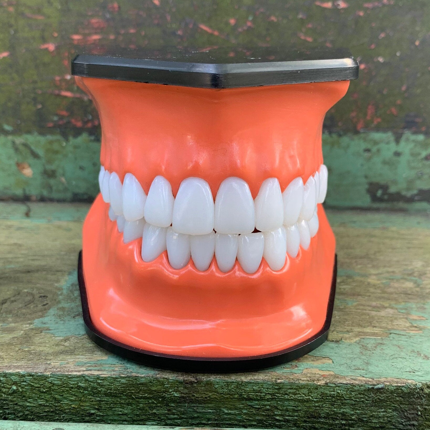 Vintage Teeth Tooth Model Dental Mouth Model Halloween Costume Etsy