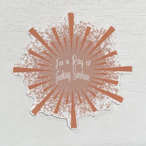 I'm a Ray of Fucking Sunshine Vinyl Sticker | Laptop Decal, Wall Decor