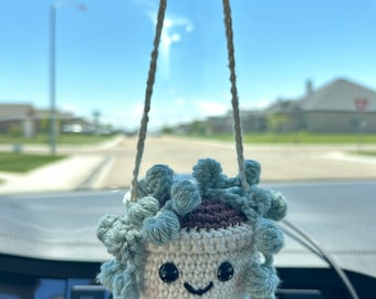 Crochet Hanging Plant Pattern, Car String of Pearls (PDF Digital Download)