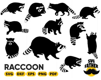 Download Raccoon svg | Etsy