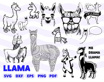 Download Llama face | Etsy