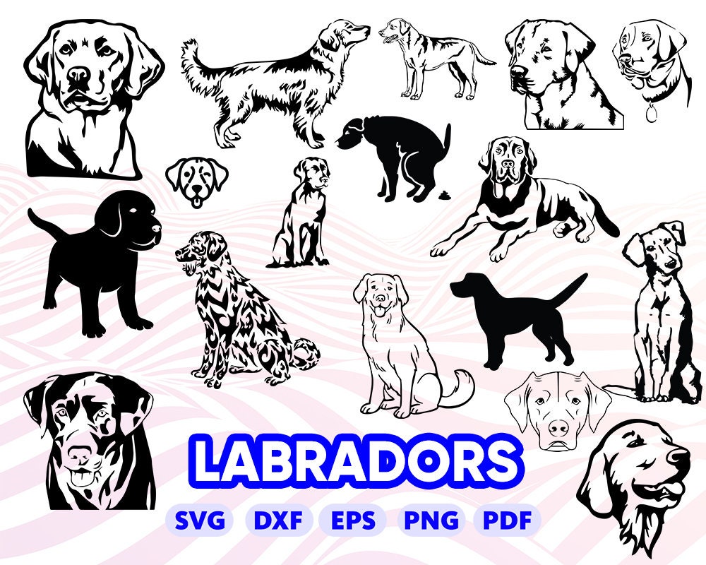 LABRADOR RETRIVER SVG puppy svg golden retriever svg | Etsy