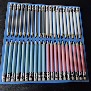 May include: A blue plastic tray containing forty pencils arranged in two rows. The top row features silver and white pencils, while the bottom row contains light blue and pink pencils. Each pencil is equipped with a metal ferrule and a white eraser.
