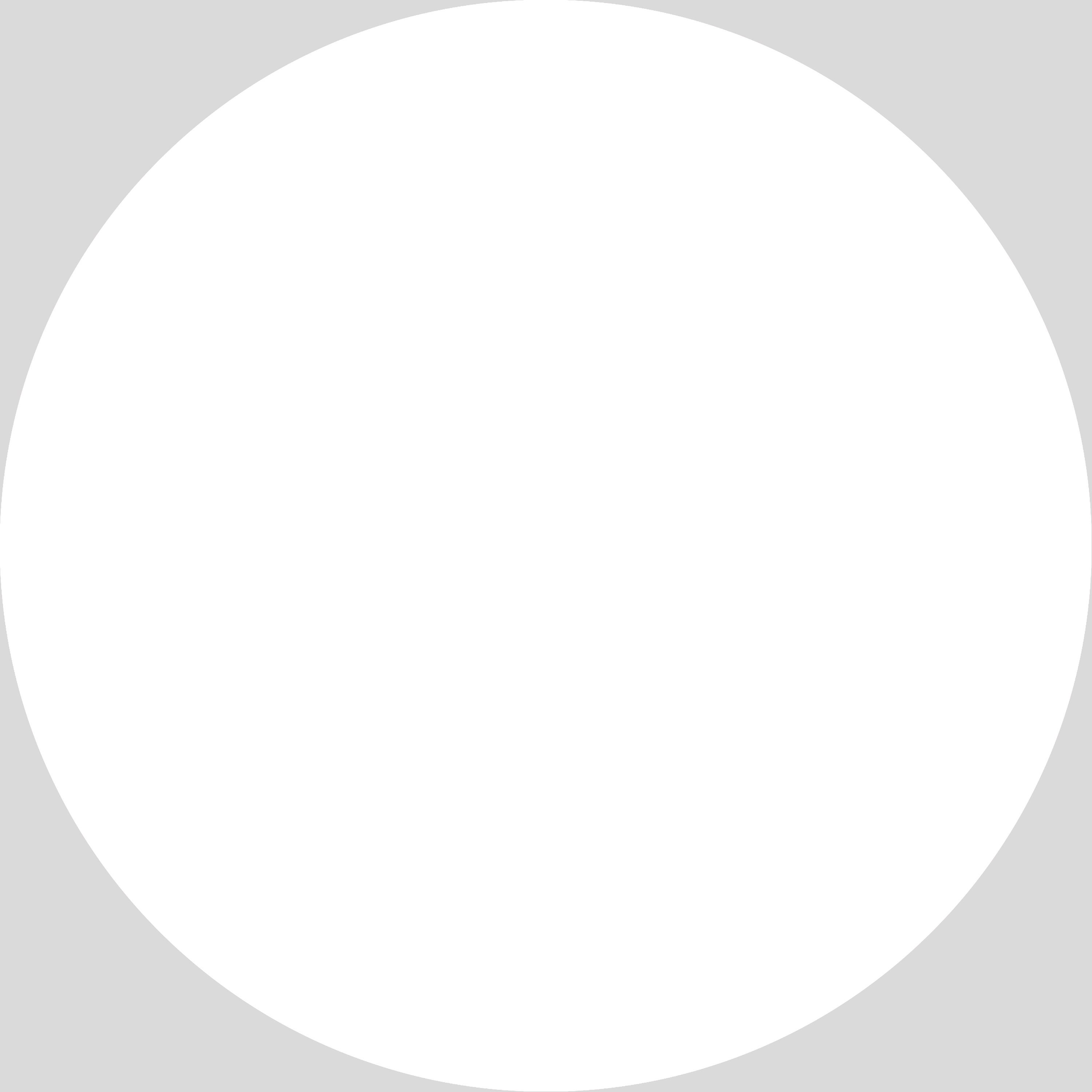 Circle Photography Backdrop White Round Backdrops | Etsy