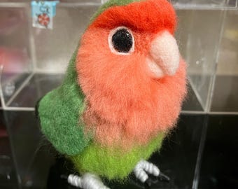 Lovebird green September 2026