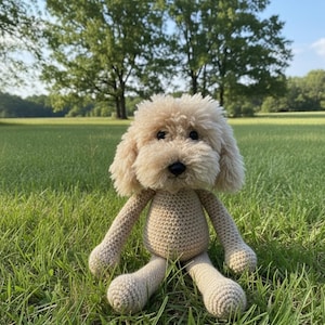 Beige/Honey/Apricot - Cockapoo - Generic Version
