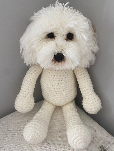 White - Cockapoo TeddiDog