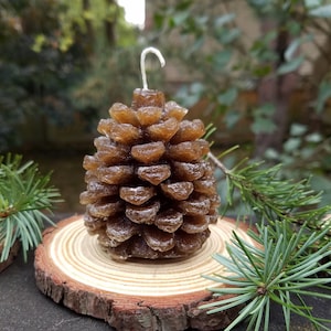 Pinecone Candle 3&quot; wood slice table centerpiece Brown Pine Cone