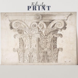May include: A detailed architectural print featuring a classical column capital. The design is rendered in shades of gray and beige, showcasing intricate carvings of leaves and scrolls. The text "Felicity PRINT" is at the top.