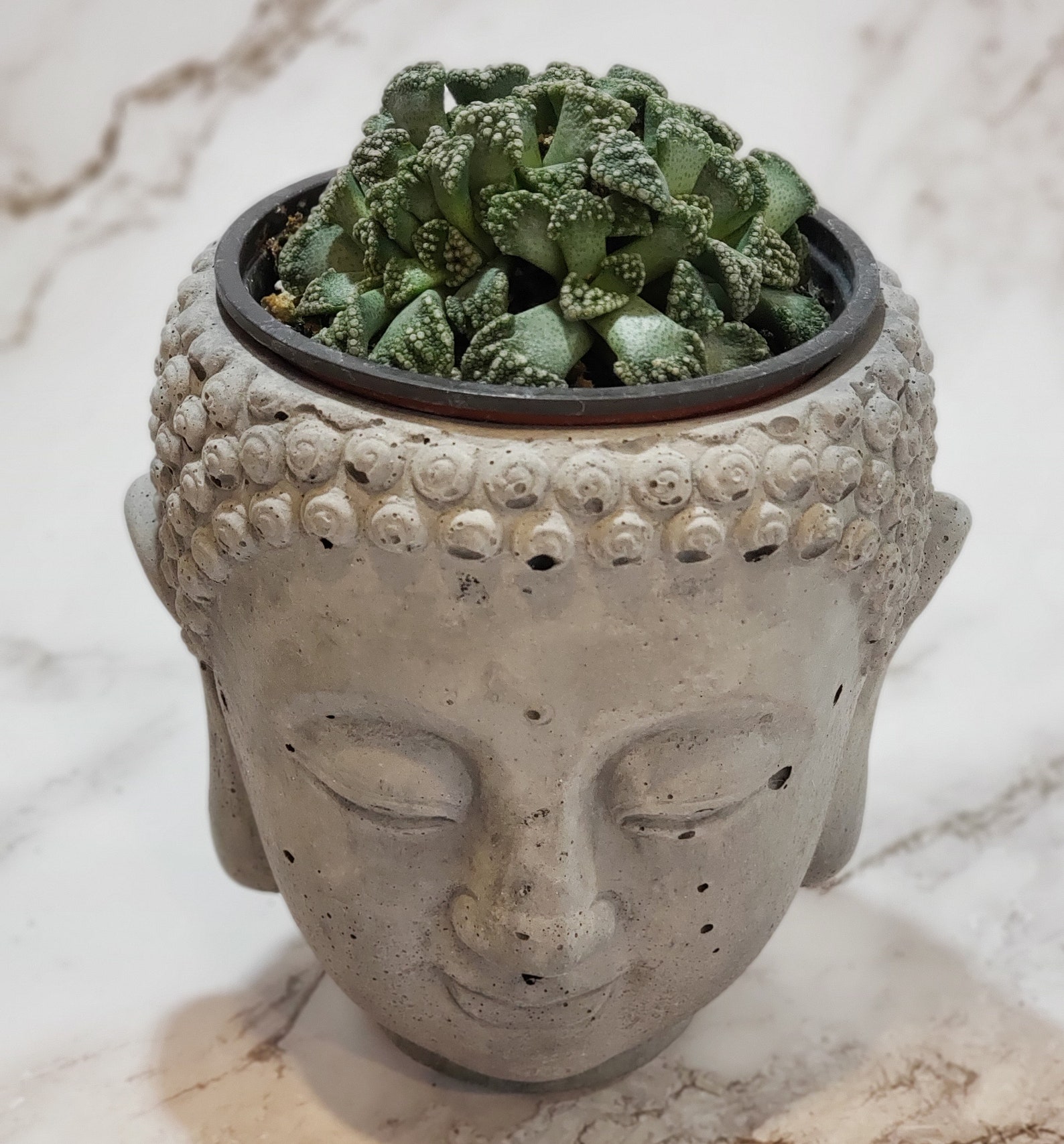 Buddha Planter Etsy