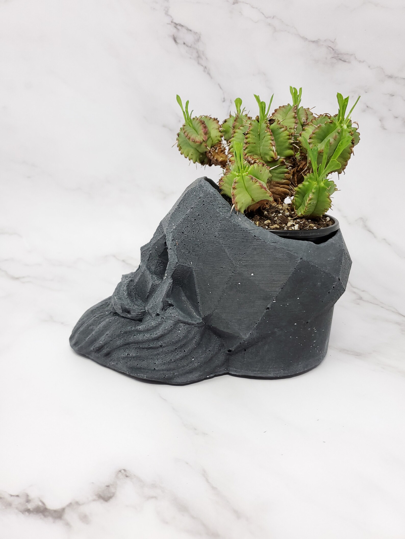 Concrete Skull Planter Etsy