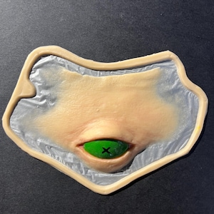 Può includere: Una protesi con una base realistica color carne e una superficie testurizzata. Al centro si trova un singolo occhio a forma di mandorla con un'iride verde brillante e un segno 'x' nero sulla pupilla, inserito in una struttura palpebrale carnosa e rialzata.