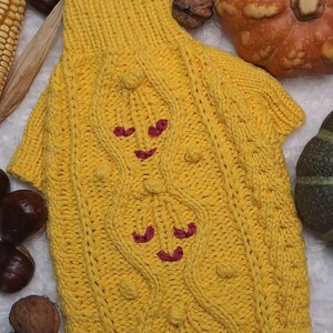 Könnte beinhalten: Gelber gestrickter Hundepullover mit Zopfmuster und rosa gestickten Herzen.