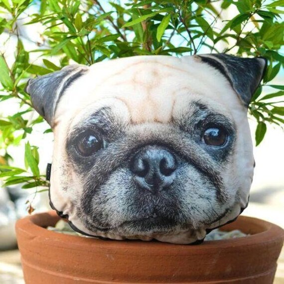 pet face pillow